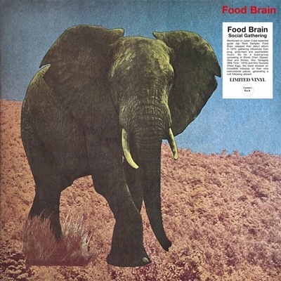 Food Brain: Social Gathering LTD LP