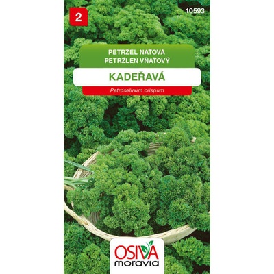 Petržel naťová Kadeřavá Seva Seed 2 g