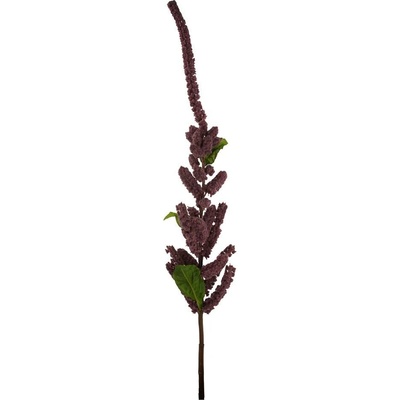 AMARANTHUS 120CM BORDOVÝ