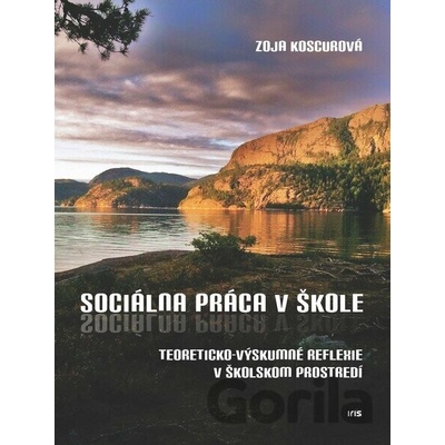 Sociálna práca v školstve