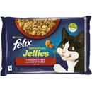 Felix Fantastic s hovädzím a kuraťom v želé 48 x 85 g