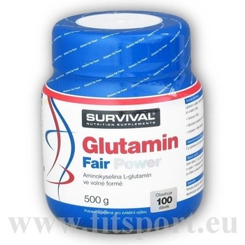 Survival Glutamin fair power 500 g