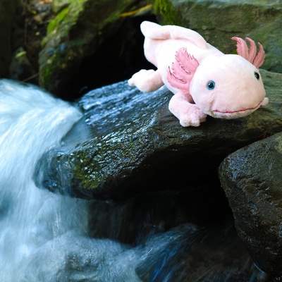 Eco-Friendly axolotl 33 cm
