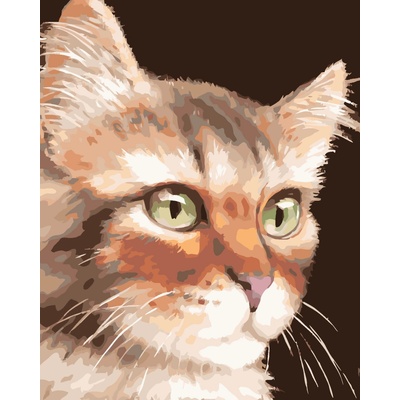 ZUTY Malování podle čísel KOČKA MYROSLAVA VOLOSCHUK Rozměr 80 x 100 cm Rámování vypnuté plátno na rám