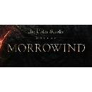 The Elder Scrolls Online: Morrowind