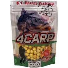 4CARP DIPOVANÉ PUFFI 100 ml Žížala