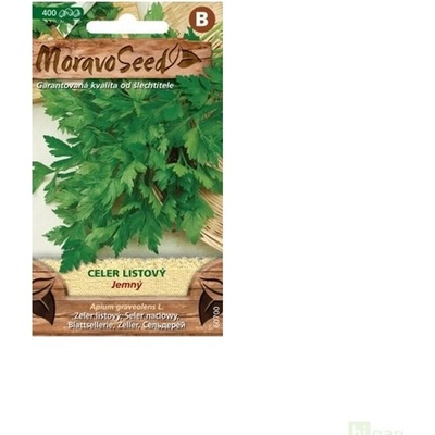 Semínka MoravoSeed Celer listový JEMNÝ 60700