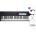 Novation Launchkey 61 MK4 SET Миди клавиатура Black (LAUNCHKEY-61-MK4-SET)