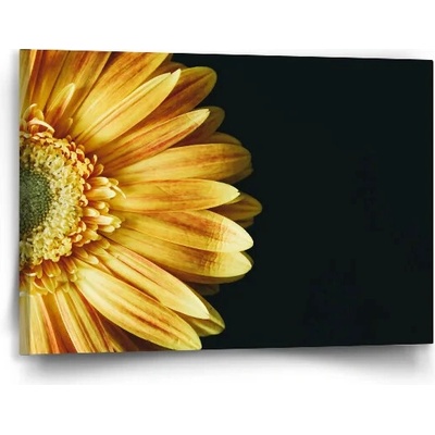 Sablio Obraz Žltá gerbera - 90x60 cm