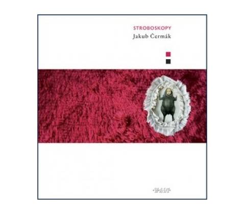 Stroboskopy - Jakub Čermák