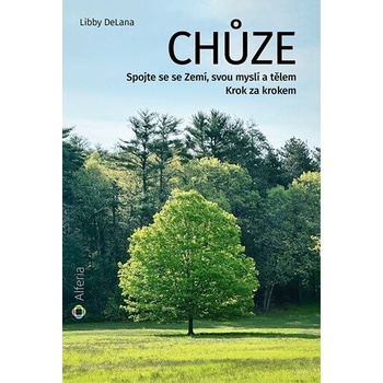 Chůze