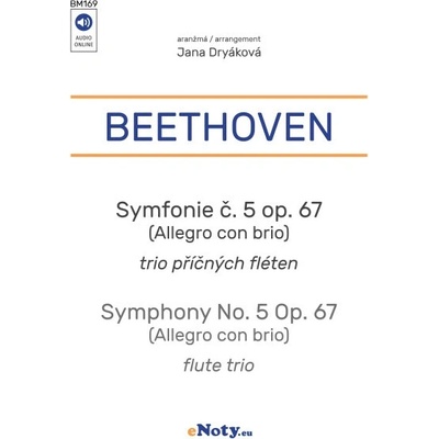 Beethoven: Symfonie č. 5 op 67 Osudová trio příčných fléten