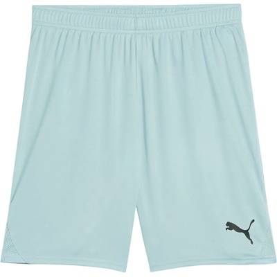 Puma teamGOAL modrá L