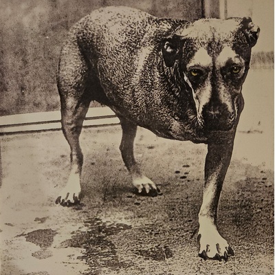 Alice In Chains - Alice In Chains (9b745511-3756-4a0b-a128-1a93c7ee1a5d)