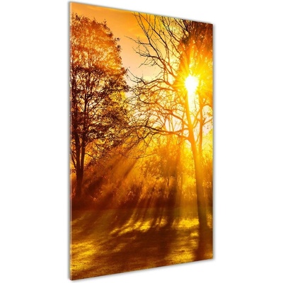 Vertikálny foto obraz sklo tvrdené Jesenný park 50x100 cm