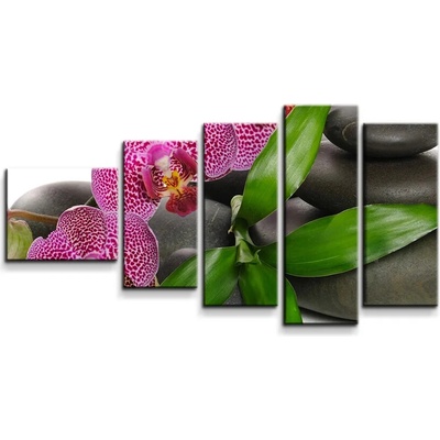 Sablio Obraz - 5-dílný Orchidey a kamene - 100x60 cm