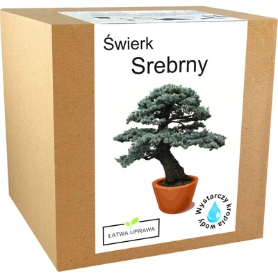 Sada pro pěstování Bonsai smrk stříbrný vypěstuj si vlastní strom – Hledejceny.cz
