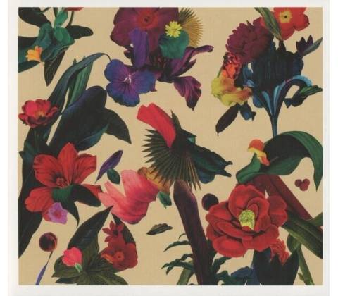 WASHED OUT: PARACOSM CD