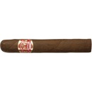 Partagas Shorts