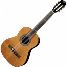 Tanglewood EM C2