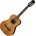 Tanglewood EM C2