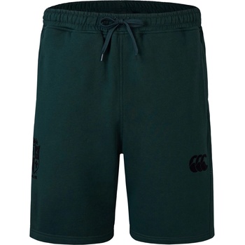 Image 1 of Canterbury Мъжки къси панталони Canterbury British & Irish Lions Stealth Shorts 2025 Mens - Scarab