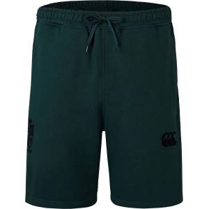 Canterbury Мъжки къси панталони Canterbury British & Irish Lions Stealth Shorts 2025 Mens - Scarab