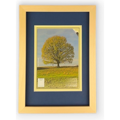 Pasparta Modrá Rozmer: A3 - 29,7 x 42 cm, Vnútorný výrez pasparty (Veľkosť obrázka): A4 21 x 29,7 cm