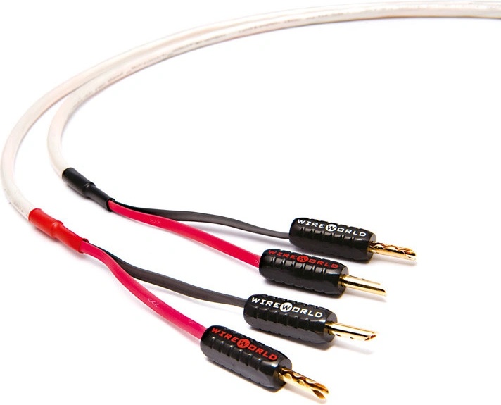 WireWorld STREAM 8