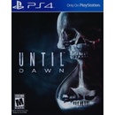 Until Dawn