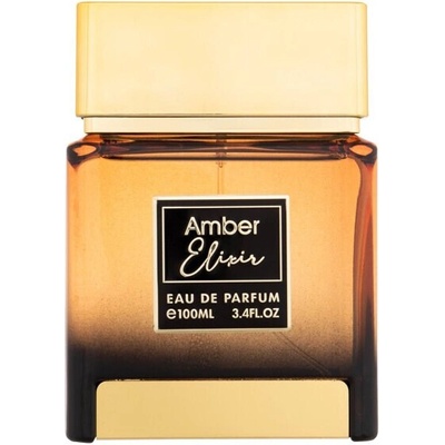 Flavia Amber Elixir parfumovaná voda pánska 100 ml