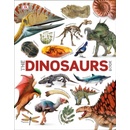 The Dinosaur Book
