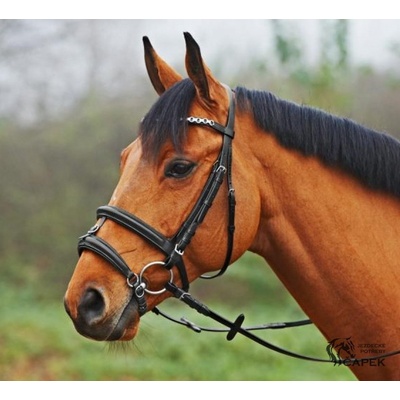 Busse Nánosník ENGLISH KOMBINIERT Černá – Zboží Dáma