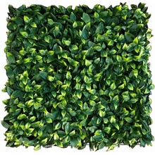 Citrus maxi, dílec 50 x 50 cm