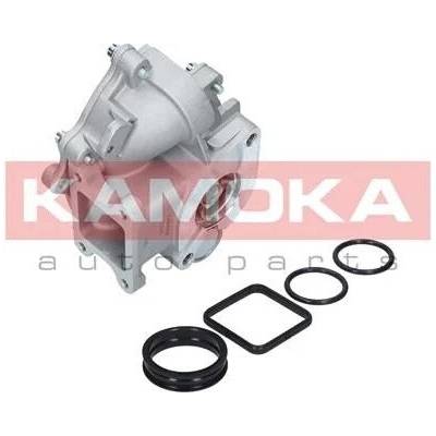 KAM-T0049