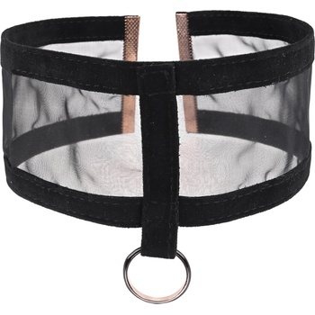 Image 1 of Sex & Mischief Sheer Day Collar