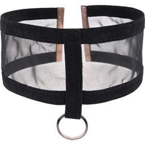 Sex & Mischief Sheer Day Collar