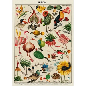 Grafika Art Puzzle - Puzzle Birds by Beto Val - 500 piese