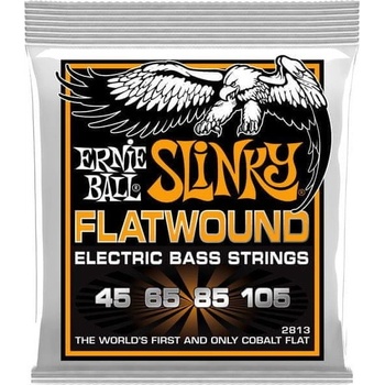 Ernie Ball 2813