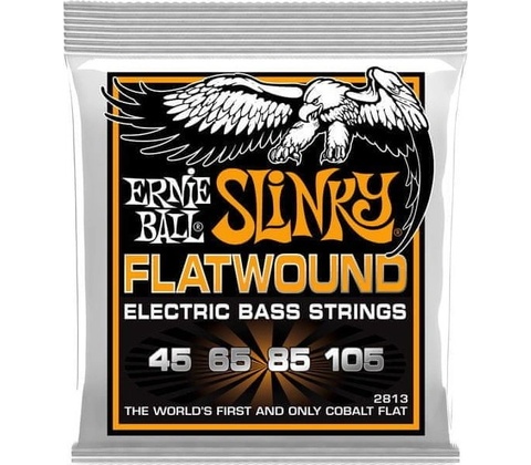 Ernie Ball 2813