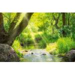DIMEX ART Флизелинов фототапет поток в тропическа гора 375 x 250 см