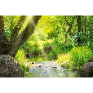 DIMEX ART Флизелинов фототапет поток в тропическа гора 375 x 250 см