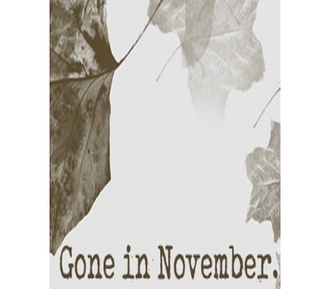 Gone In November