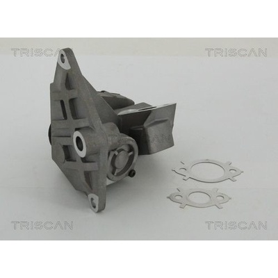 AGR-Ventil TRISCAN 8813 29047