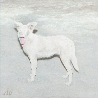 AO - Malandra (LP) (5430002558646)