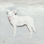 Ão - Malandra (LP) (5430002558646)