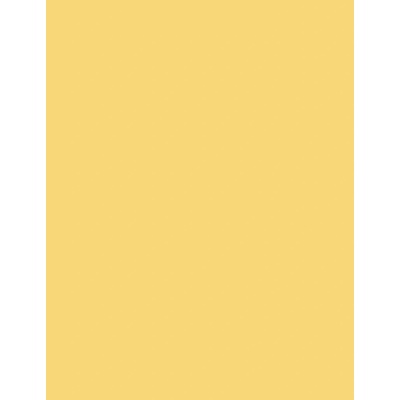 Dermacol Neon Hair Powder Yellow 2 g