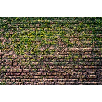 DIMEX ART s. r. o Флизелинов фототапет тухлена стена с мъх 375 x 250 см