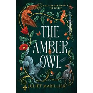 Amber Owl (ISBN: 9781837867721)