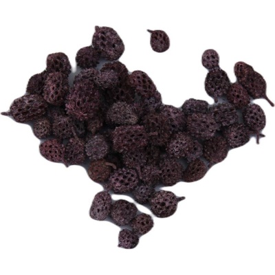 Casurina frosted purple 500 gr.